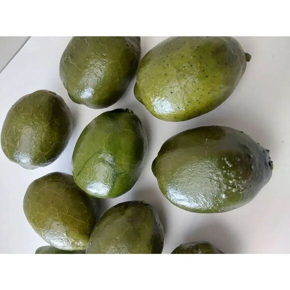 Faux Limes Lot of 13 Artificial Fruit Two sizes - Picture 4 of 4